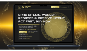 Development of a Website, Smart Contract, and DAPP for the Worldwide Token