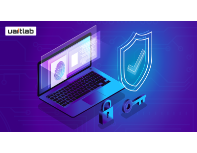 Website development