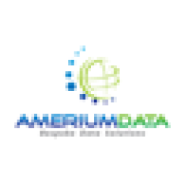 Amerium Data