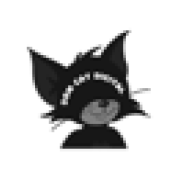 Dom Cat Digital