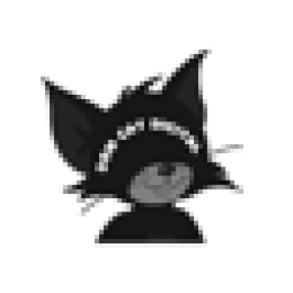 Dom Cat Digital