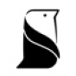 Penguin House Designs