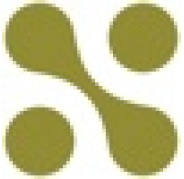 Seattle Web Group