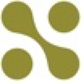 Seattle Web Group