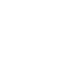WEBITIZED