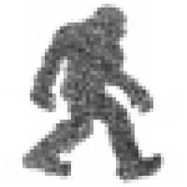 Bigfoot Web