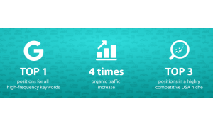 Website promotion in a highly competitive niche (New York, USA)