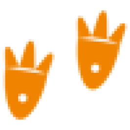 Webbed Feet Inc.