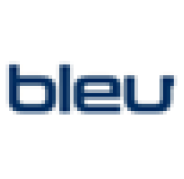 Bleu Marketing