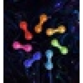 goHere® AR