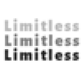 Limitless Web Developers