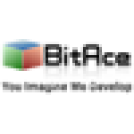 BitAce Technologies Pvt. Ltd.
