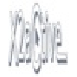 X2active Web Design