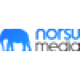 Norsu Media Group