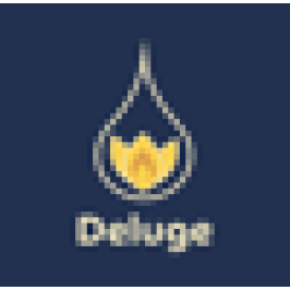 Deluge Digital Marketing
