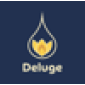 Deluge Digital Marketing