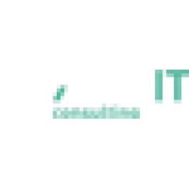 Exact IT Consulting