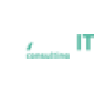 Exact IT Consulting