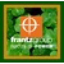 Frantz Group