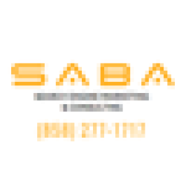 Saba SEO