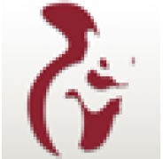 Squirrel Digital Marketing
