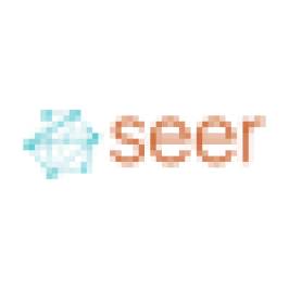 Seer Interactive