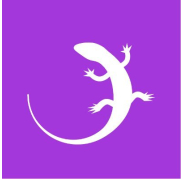 Quizgecko