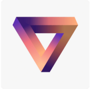 Vidyo