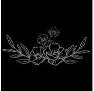 steelmagnoliainc
