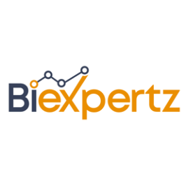BI Expertz