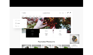 indiGem (Branding + website development + eCommerce)