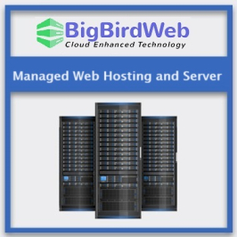 Bigbirdweb