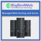 Bigbirdweb