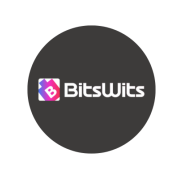 Bitswits