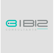 Ibiz Consultants