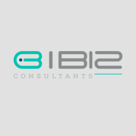 Ibiz Consultants