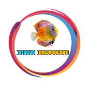 Discus Dreamscape