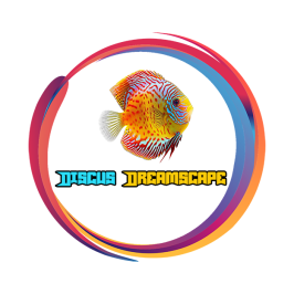 Discus Dreamscape