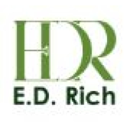 Ed Rich Fiction