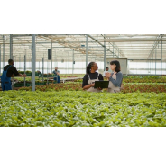 Greenhouse Business Software