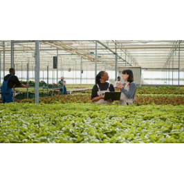 Greenhouse Business Software