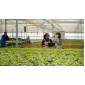 Greenhouse Business Software