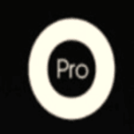 Odoo Programmer