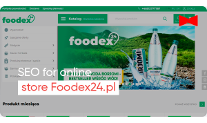 Case: comprehensive website promotion for Foodex24 in Poland