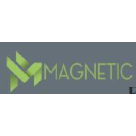 Magnetic Control